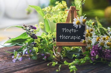 PHYTOTHERAPY - EXPERT HEALING THROUGH PLANTS