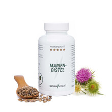Mariendistel